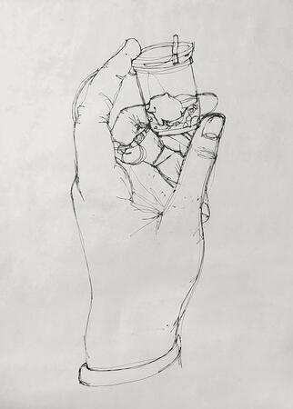 No-Lift Hand No-Lift Hand